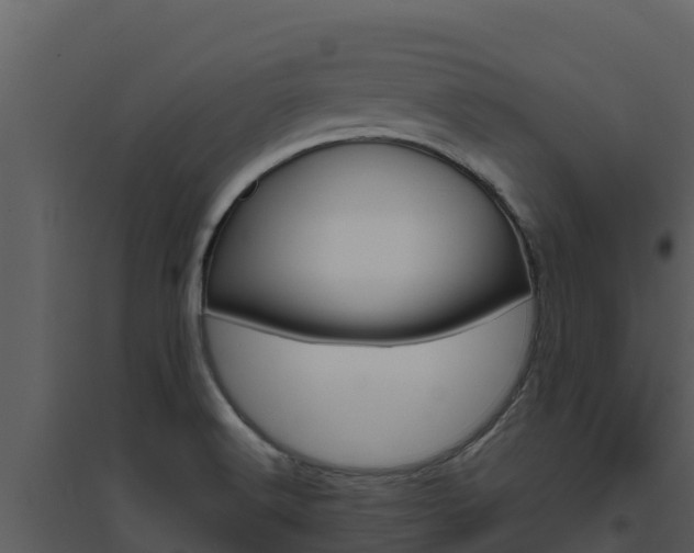 X0000094801516200711160928