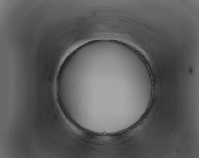 X0000094801517200711160928