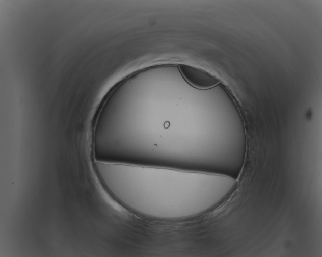 X0000094801519200711160928