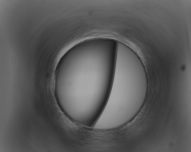 X0000094801520200711160928
