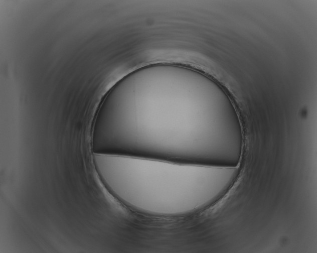 X0000094801521200711160928