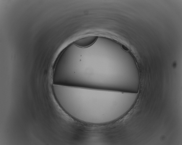 X0000094801522200711160928