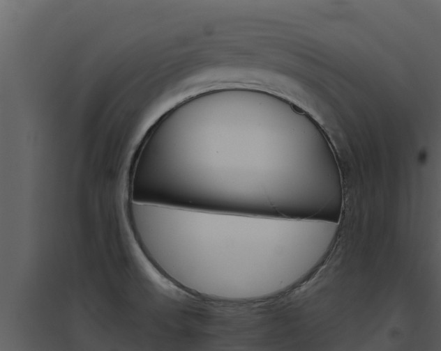 X0000094801523200711160928