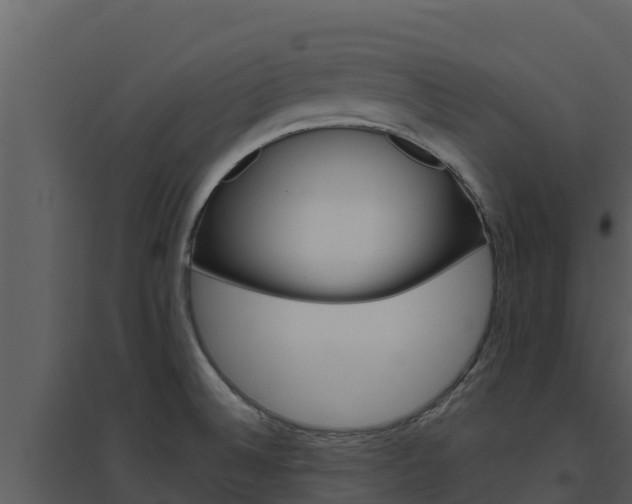 X0000094801524200711160928