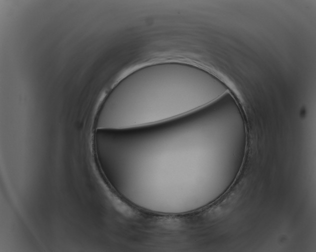 X0000094801525200711160928