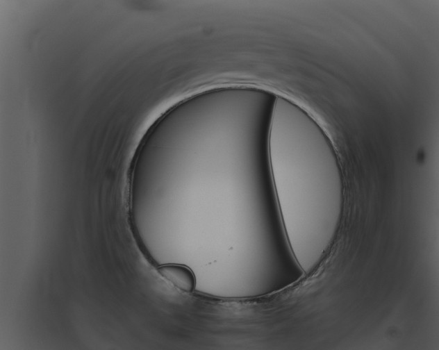 X0000094801527200711160928