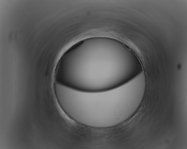 X0000094801528200711160928