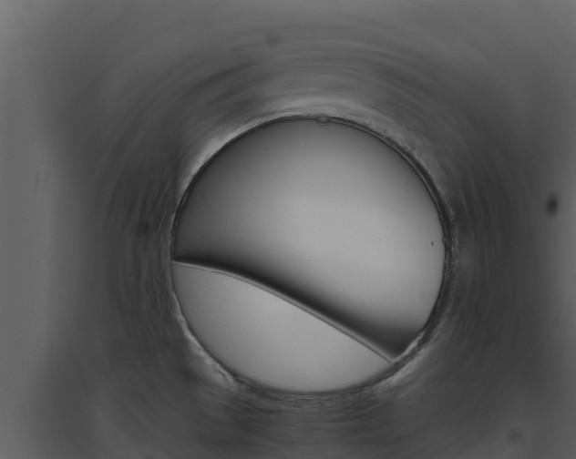 X0000094801529200711160928