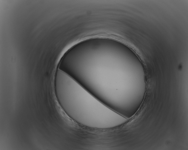 X0000094801530200711160928
