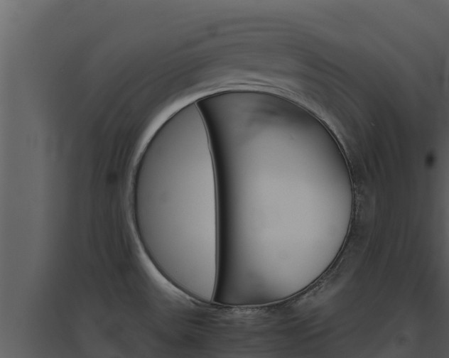 X0000094801531200711160928