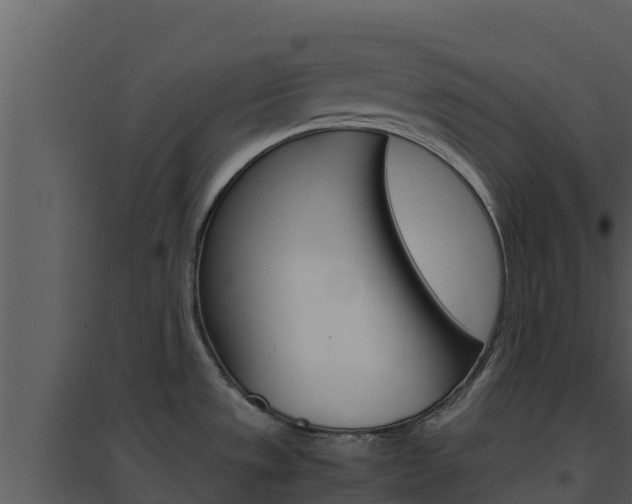 X0000094801533200711160928