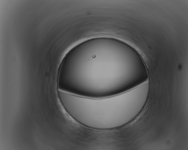 X0000094801534200711160928
