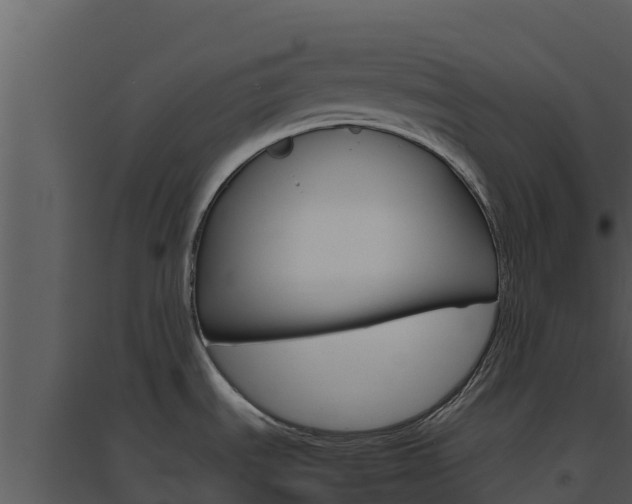 X0000094801535200711160928