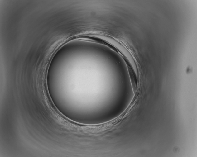 X0000094800001200711161509
