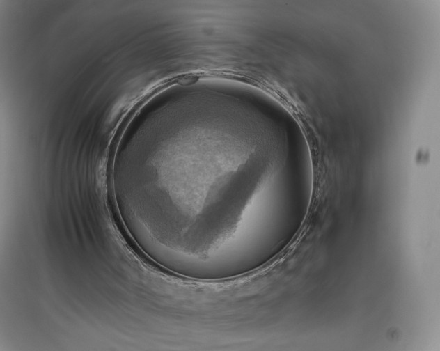 X0000094800002200711161509