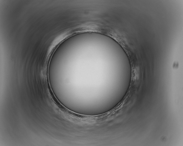 X0000094800004200711161509