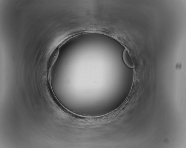 X0000094800005200711161509