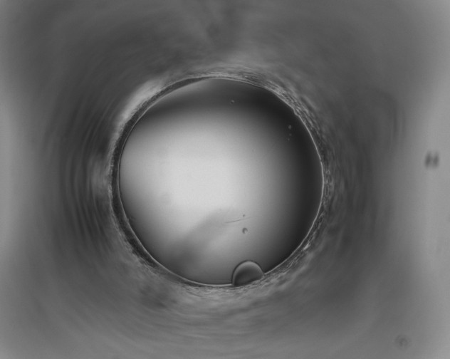 X0000094800006200711161509
