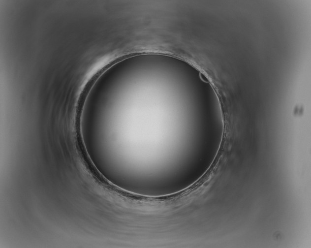 X0000094800008200711161509