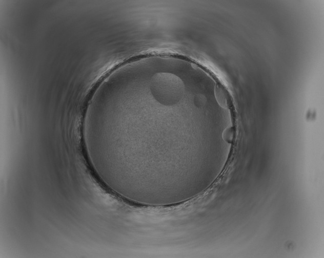 X0000094800009200711161509
