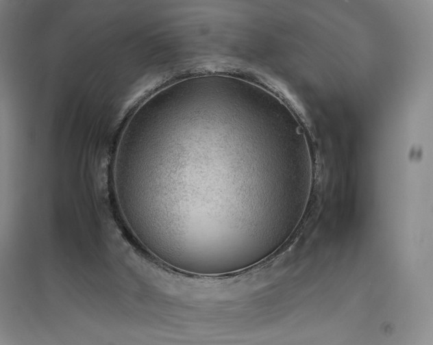 X0000094800010200711161509