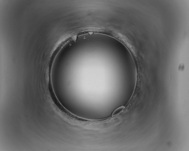 X0000094800011200711161509