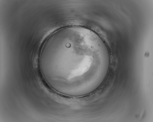 X0000094800012200711161509