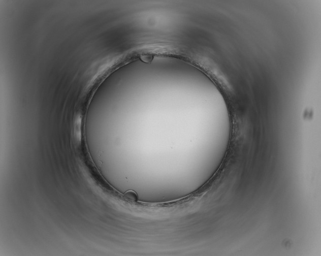 X0000094800014200711161508