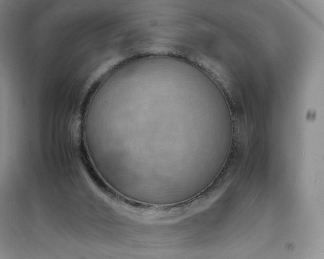 X0000094800016200711161508