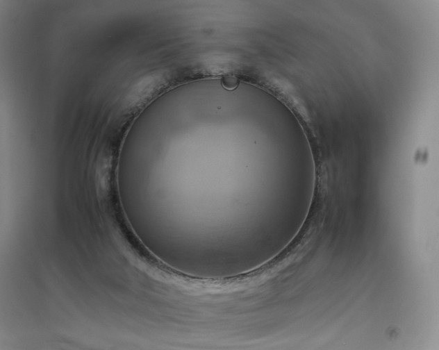 X0000094800018200711161508