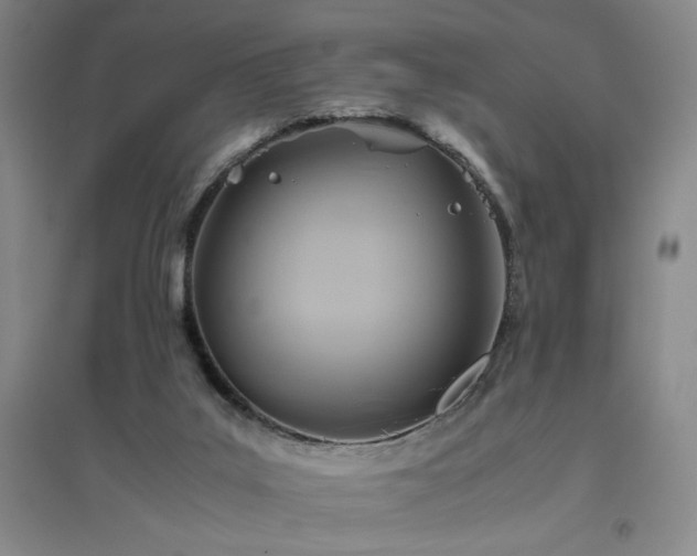 X0000094800019200711161508