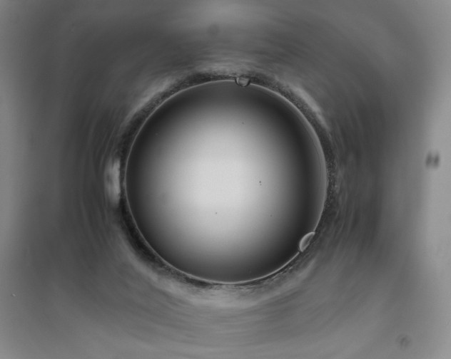 X0000094800020200711161508