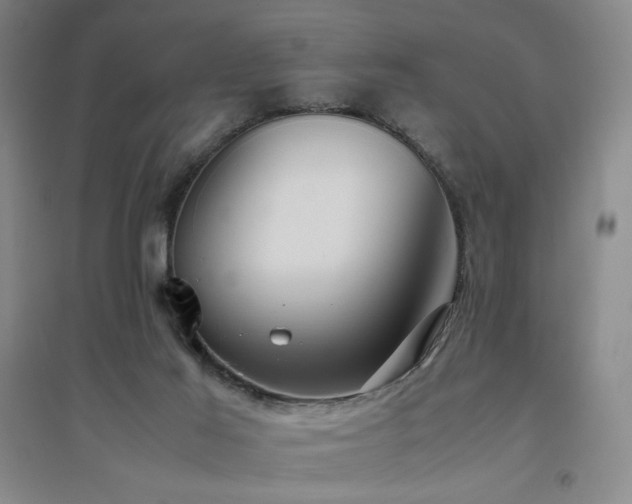 X0000094800021200711161508