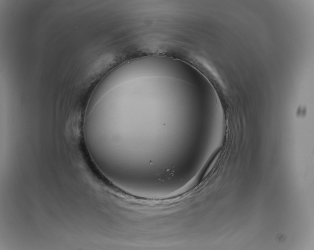 X0000094800023200711161508