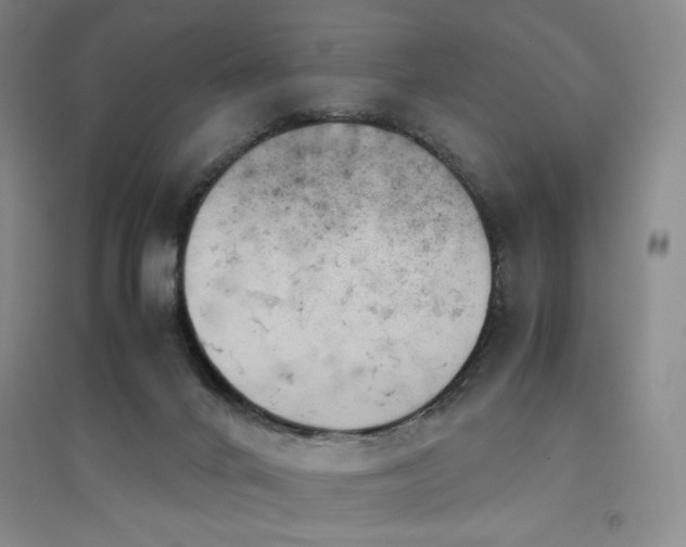 X0000094800024200711161508