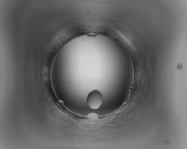 X0000094800025200711161508