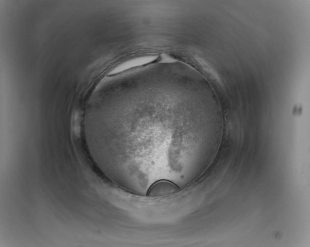 X0000094800026200711161508