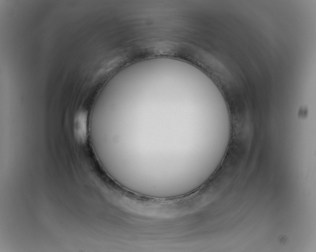 X0000094800028200711161508