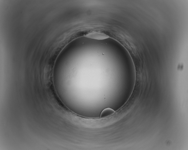 X0000094800030200711161508