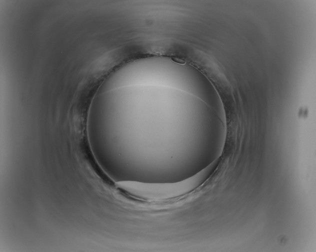 X0000094800031200711161508