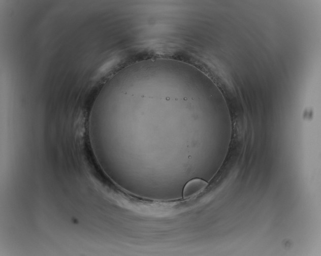 X0000094800032200711161508