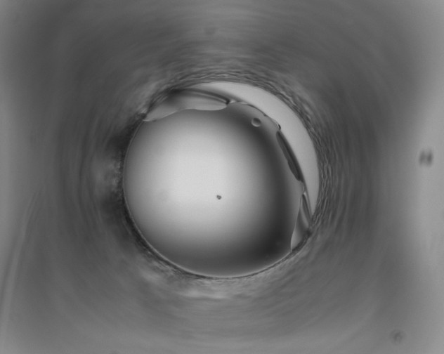 X0000094800033200711161508