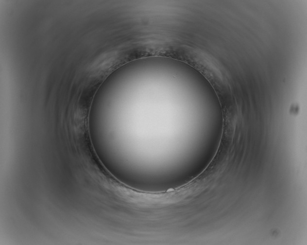 X0000094800034200711161508