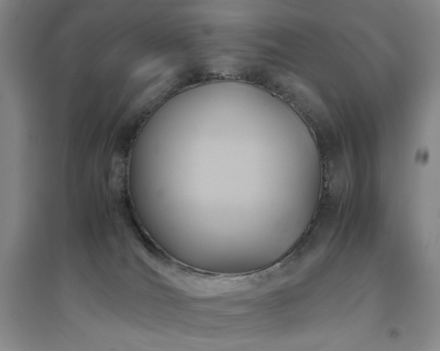 X0000094800036200711161508