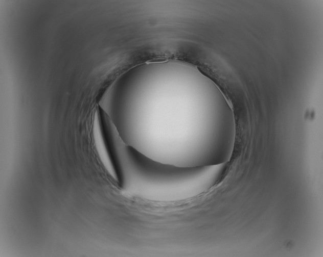 X0000094800037200711161508