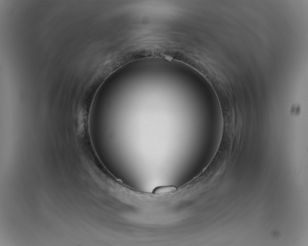 X0000094800038200711161508