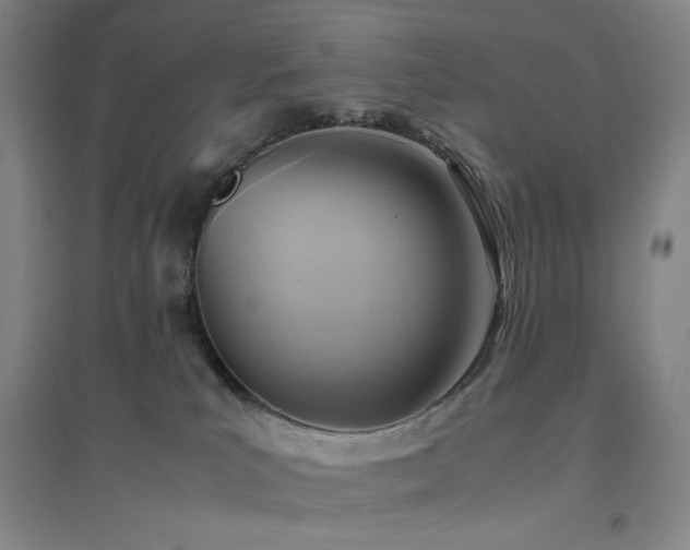 X0000094800039200711161508