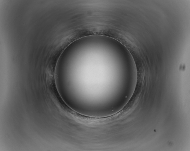 X0000094800040200711161508