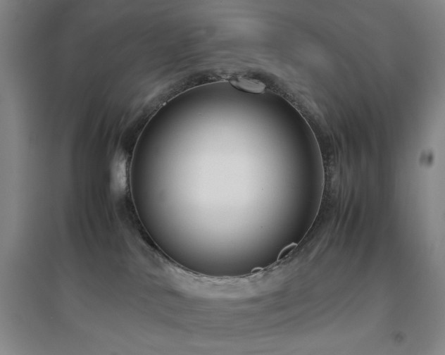 X0000094800042200711161508