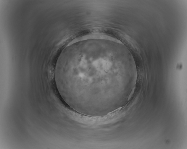 X0000094800043200711161508